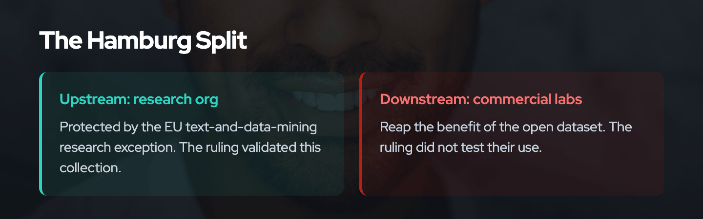 The Hamburg ruling split: the non-commercial research organization is protected upstream under the EU text-and-data-mining exception, while commercial labs reap the benefit downstream, with the ruling validating only the upstream collection.